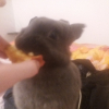 ☆Zínthos☆