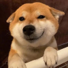 _肉酱饼、