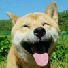 ๑神威๑