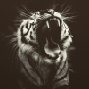MuscleCat