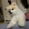 뉴비철이.