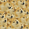 adererror