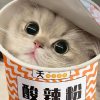 无꧅꧅꧅꧅妄꧅