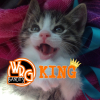 ~KING~
