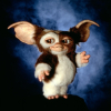 Gremlins||FR||
