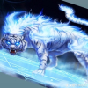 Khứa_PokéMon