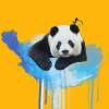 光暗轮到我了吧