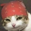 跪求原五5555