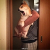 小小短腿