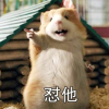 我乃常山囤囤鼠