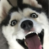 ؄Nấm๛