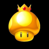 ShroomiaCo