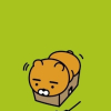 하루