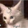 Xx☼YaMaN☼xX