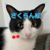 アルマカルラ