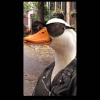 RocketDuck32