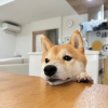 たけノコ