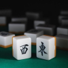 ✨树袋闹✨