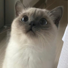 ✎₯㎕初五࿐