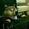 埋汰少爷