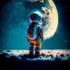 stev_507