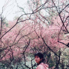 ༿龘༾
