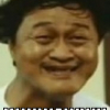 XnxxAuditor