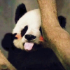 福符