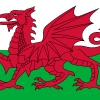 BigWelshMan