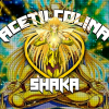 光SHAKAॐ