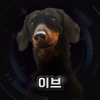 사자