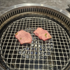 밤양갱갱