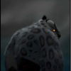 Ðįnø