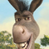 <Donkey>