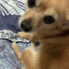 光明黑暗世界