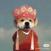 山     