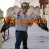 Falthazard