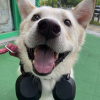 몬스터성빠이