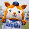 ココロハウス