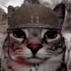 Power•of•Cat