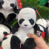 欧来改名求光暗