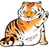 Z丶C