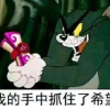 ≡￣﹏￣≡夏尔