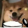 疯狂小鸭