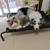 生锈de赤微紫