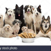 inuchien