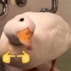 ꧁ⓈⒾⓇ⓪꧂
