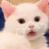诡屋♚小怪獸࿐