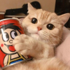    章  