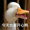 DavidLuo